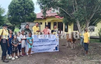 NHM Berbagi Hewan Kurban untuk Masyarakat Lingkar Tambang
