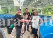 BUMDes Soahukum Salurkan Bibit Ikan Bantuan NHM Peduli
