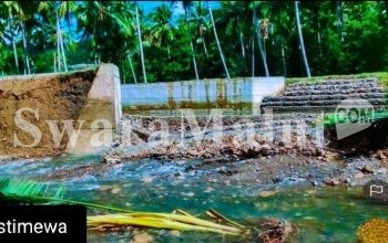 Seumur Jagung, Bangun Irigasi di Morotai Mengalami Kerusakan 