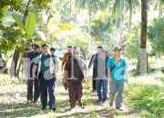 Pemda Halut Gandeng UGM Kembangkan Varietas Unggul “GAMAPALATO”