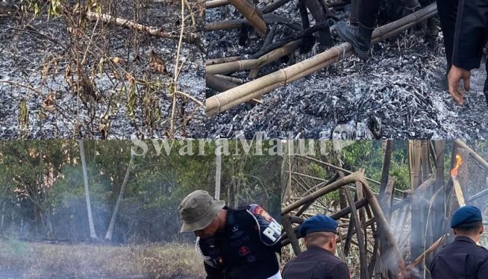 Kompi 1 Yon A Pelopor Brimob Halmahera Utara Berhasil Padamkan Kebakaran Lahan Milik Warga Desa Mawea