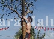 Seru..!Panjat Pinang di Lingkungan Tobenga Diikuti WNA Asal Kanada