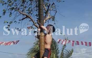 Seru..!Panjat Pinang di Lingkungan Tobenga Diikuti WNA Asal Kanada