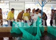 Hasilkan 2 Ton Ikan, Panen Raya Perdana Sadaka Farm Jadi Bukti Sukses Sinergi Pemberdayaan NHM dan Pemda Halut