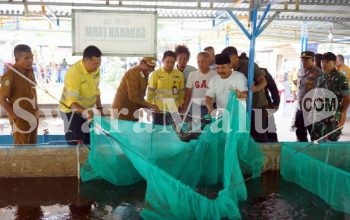 Hasilkan 2 Ton Ikan, Panen Raya Perdana Sadaka Farm Jadi Bukti Sukses Sinergi Pemberdayaan NHM dan Pemda Halut