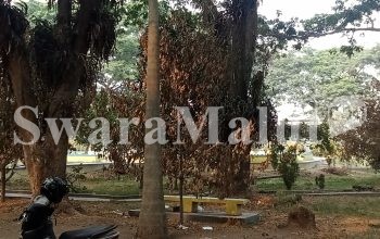 Tanaman di Kantor Bupati Halut Berguguran, Masyarakat Sesalkan Kurangnya Perawatan Instansi Terkait    