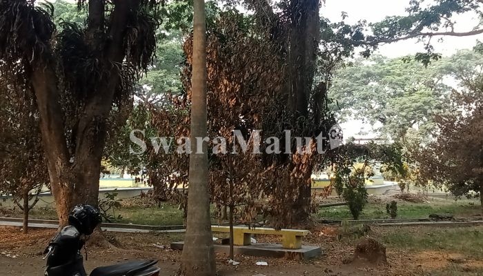 Tanaman di Kantor Bupati Halut Berguguran, Masyarakat Sesalkan Kurangnya Perawatan Instansi Terkait    