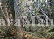 Tower Besar Diduga Milik PLN Roboh di Kebun Warga Desa Wari