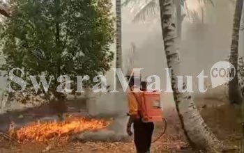 Tiga Hari Tangani Karhutla di Desa Sasur, Petugas Utusan Bupati Diapresiasi Warga   
