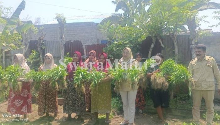 Ketua dan Pengurus DPD TMI Kota Ternate Kunjungi Petani Yang Panen Kangkung di Sasa