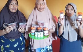 KUPS Ake Rica KPS Sebualawa Sulap Tomat Jadi Selai dan Manisan 