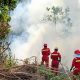 NHM Hadirkan Langkah Tangguh danTerukur dalam Menghadapi Karhutla