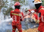 Begini Respons Terpadu NHM dalam Penanganan Karhutla di Gosowong
