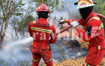 Begini Respons Terpadu NHM dalam Penanganan Karhutla di Gosowong
