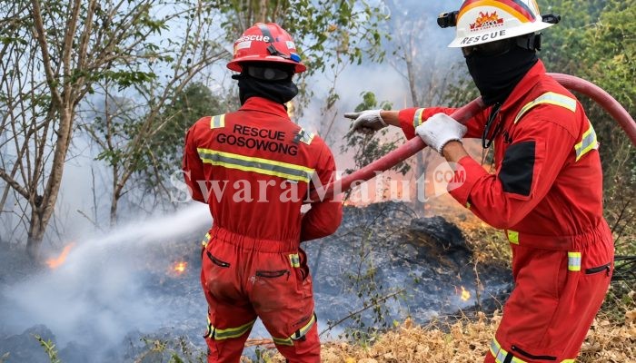 Begini Respons Terpadu NHM dalam Penanganan Karhutla di Gosowong