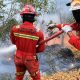 Begini Respons Terpadu NHM dalam Penanganan Karhutla di Gosowong